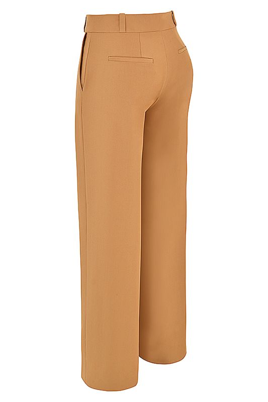 Apricot House Of Cb Relaxed Tailoreds Pants | HBL-851493